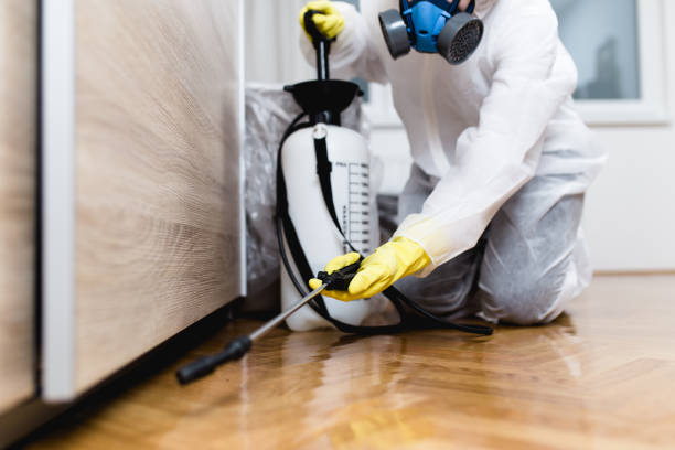 Best Pest Control for Businesses  in New Knoxville, OH