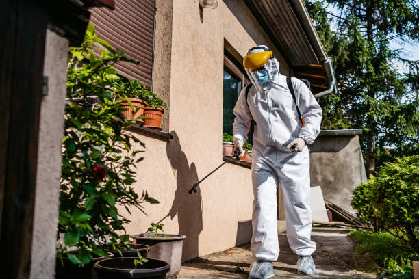 Best Pest Inspection Near Me  in New Knoxville, OH