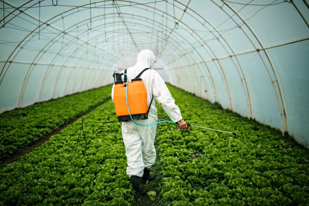 Best Commercial Pest Control Services  in New Knoxville, OH