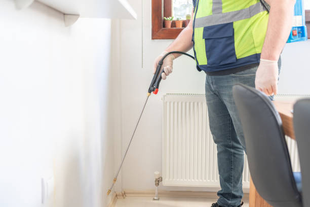 Best Flea Control Services  in New Knoxville, OH
