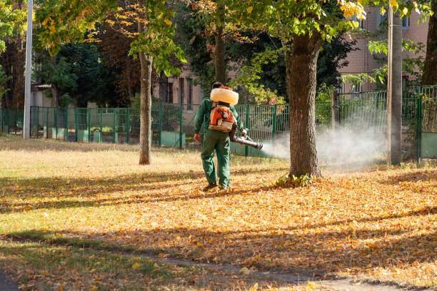 Best Mosquito Control Services  in New Knoxville, OH
