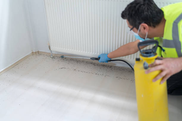 Pest Prevention Services in New Knoxville, OH