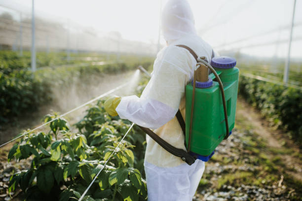 Best Ant Control Services  in New Knoxville, OH